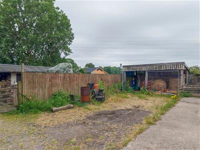 Picture 23